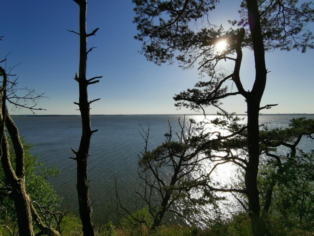 Apartment Waldblick Vom Naturhof Usedom Bannemin Exterior foto